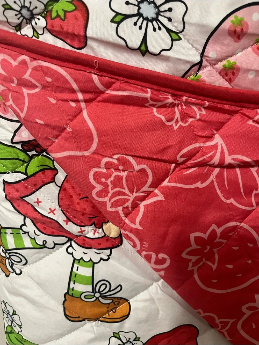 Strawberry Shortcake Twin Quilted Blanket - Pink & Red
